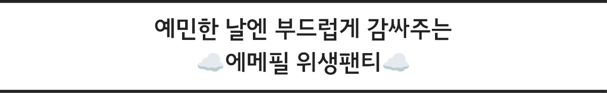 팬티 설명