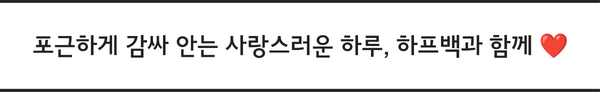 팬티 설명