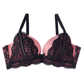 Luster 초모리 브라