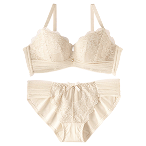 튈 레이스 초모리 브라 SET