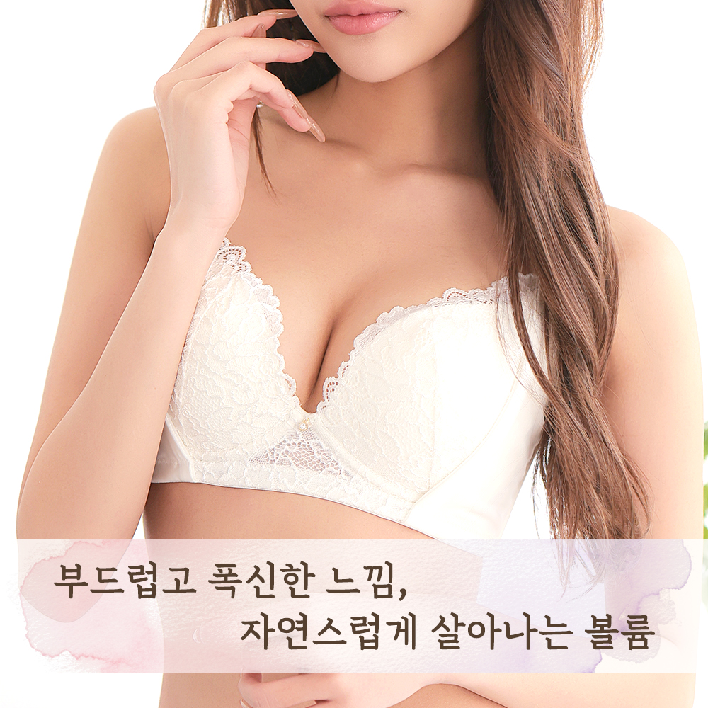 후와모리 와키다카 브라