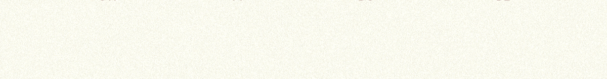 page_05_point_11033_blank