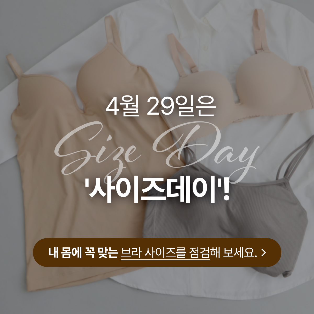 2025 사이즈데이 커뮤니티